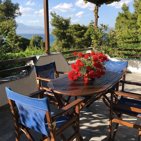 Iliochari Sea View Apartments Oropos - Kalamos Εξωτερικό φωτογραφία