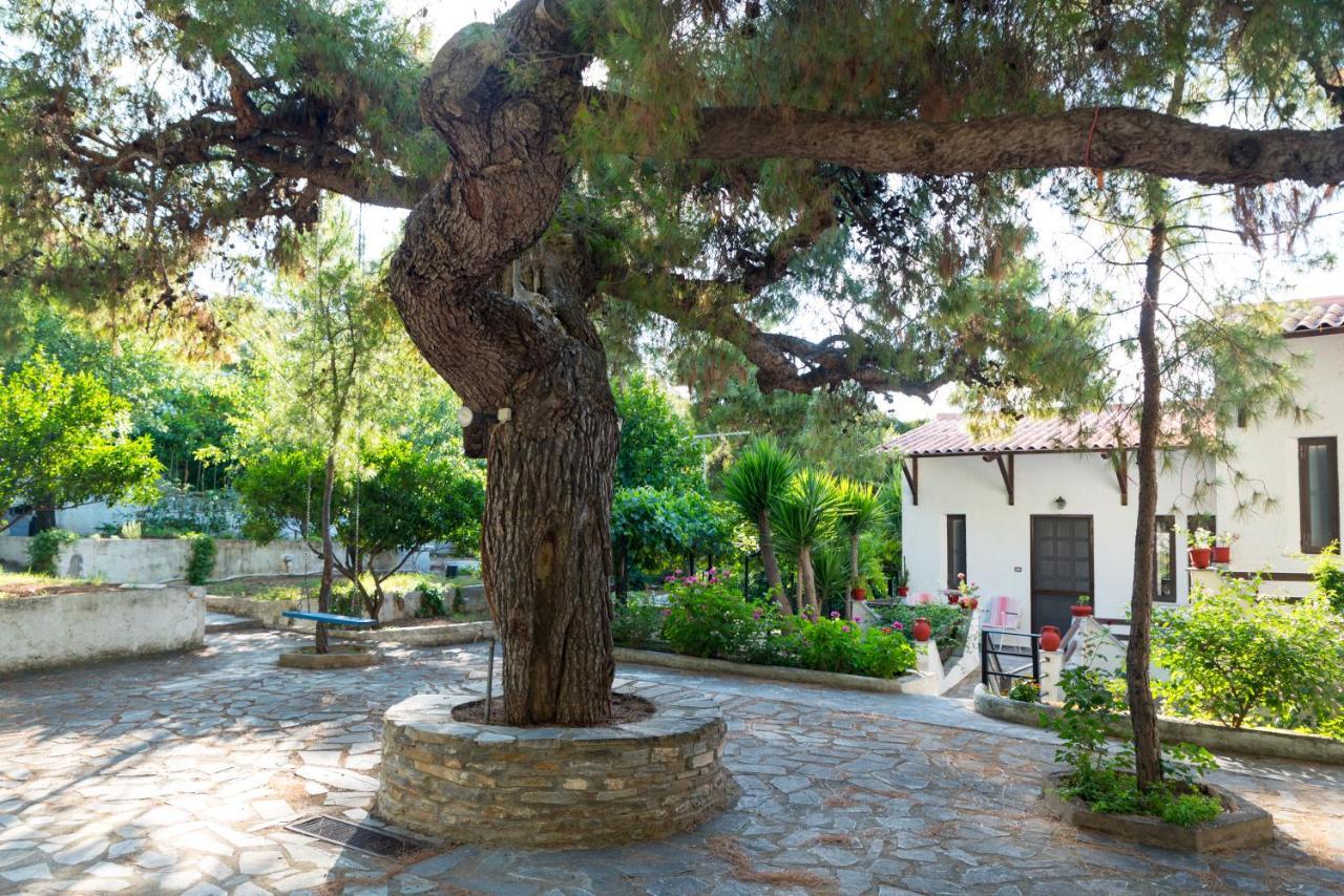 Iliochari Sea View Apartments Oropos - Kalamos Εξωτερικό φωτογραφία