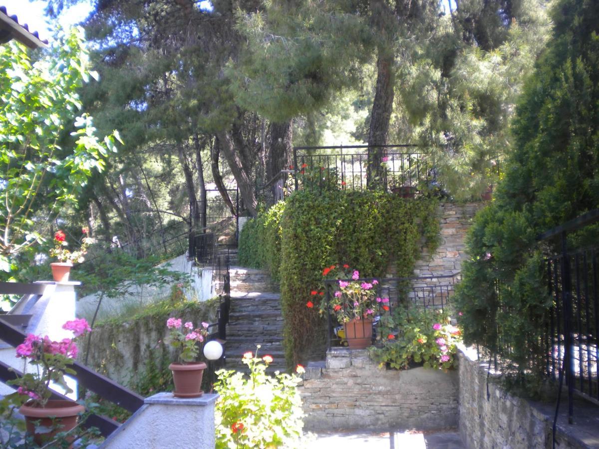 Iliochari Sea View Apartments Oropos - Kalamos Εξωτερικό φωτογραφία