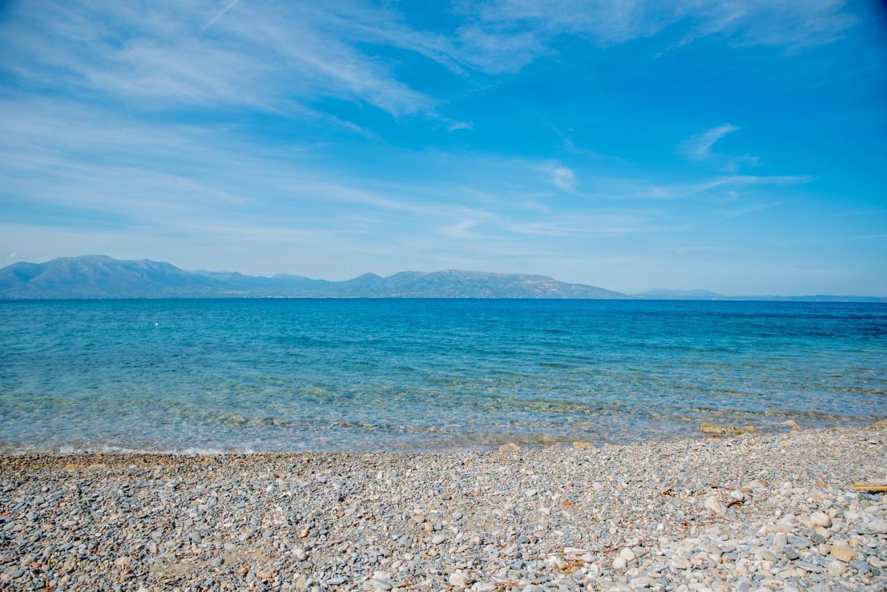 Iliochari Sea View Apartments Oropos - Kalamos Εξωτερικό φωτογραφία
