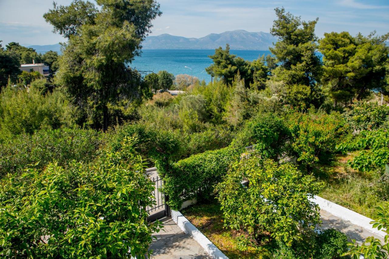Iliochari Sea View Apartments Oropos - Kalamos Εξωτερικό φωτογραφία