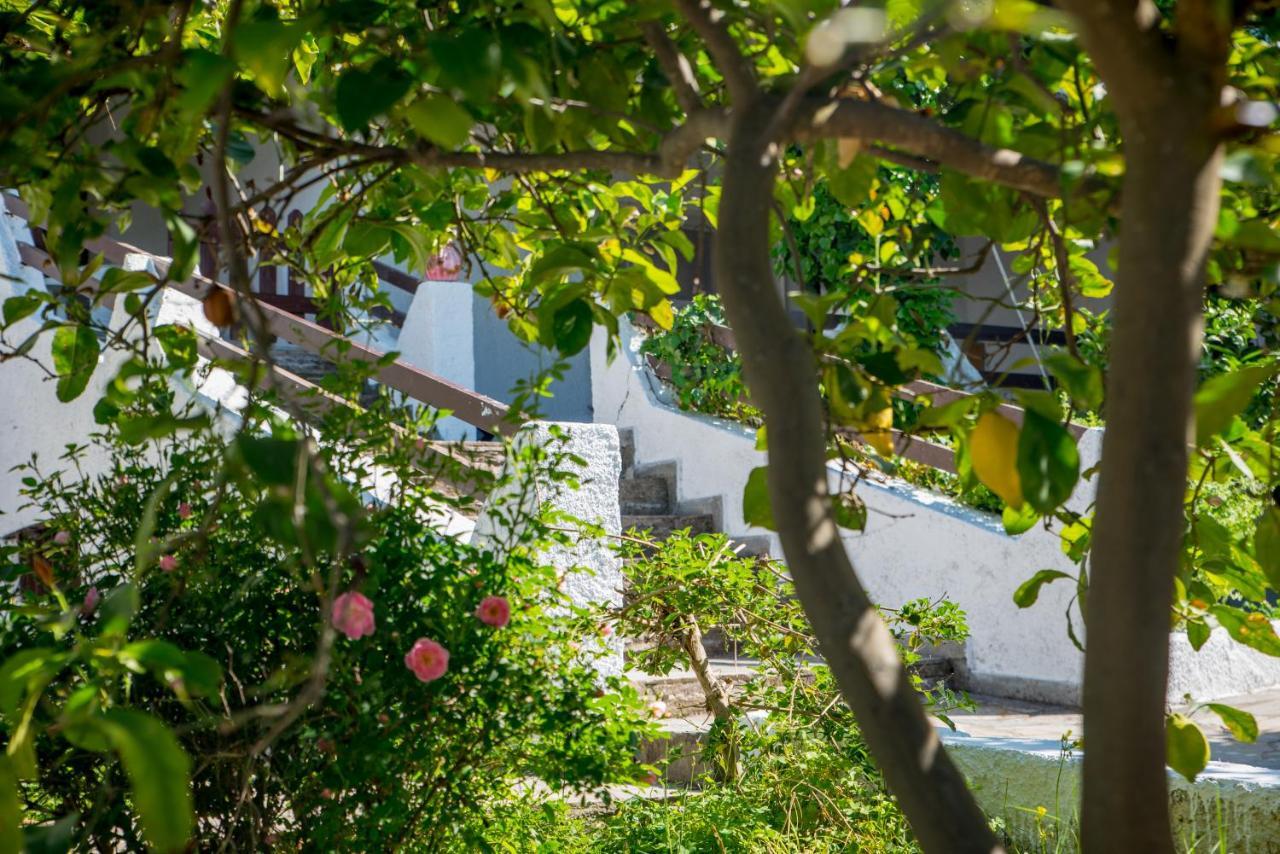 Iliochari Sea View Apartments Oropos - Kalamos Εξωτερικό φωτογραφία